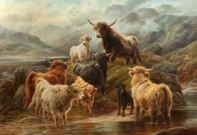 Felvidéki szarvasmarha, 1894 alkotó: Robert Watson