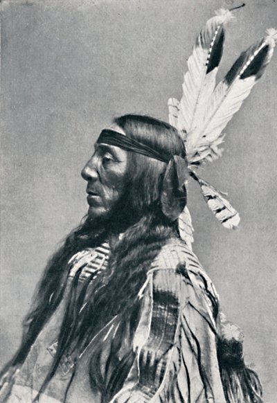 Egy sziú profilképe, 1912 alkotó: Robert Wilson Shufeldt
