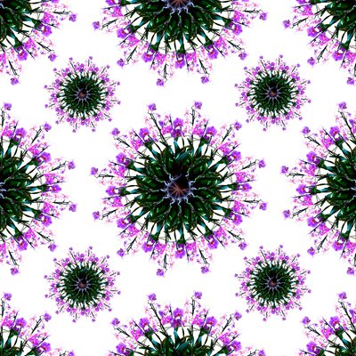 Orchidea világ alkotó: Robyn Parker