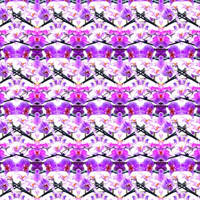 Lila orchidea ismétlés alkotó: Robyn Parker