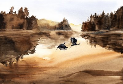 A Golden Lake madarainak repülése alkotó: RodMacIver