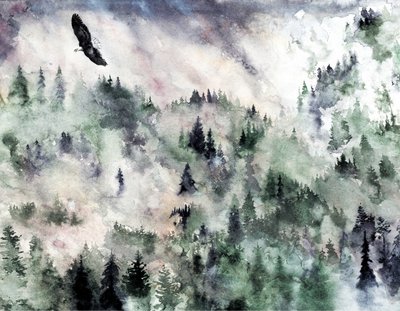Ködös-hegyi sas alkotó: RodMacIver