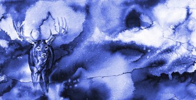 A misztikus kék szarvas alkotó: RodMacIver