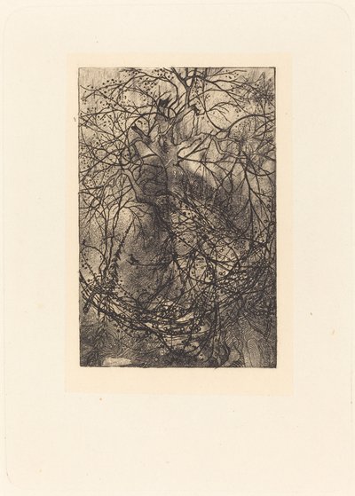 Ágak alkotó: Rodolphe Bresdin