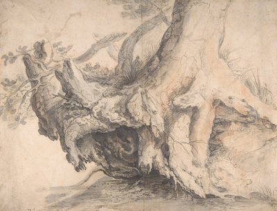 Egy fa tanulmányozása, kb. 1606-7. alkotó: Roelandt Savery