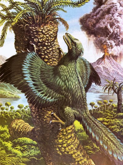 Archaeopteryx alkotó: Roger Payne