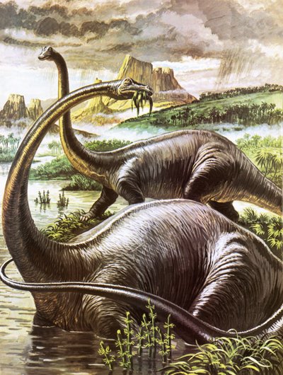 Diplodocus alkotó: Roger Payne