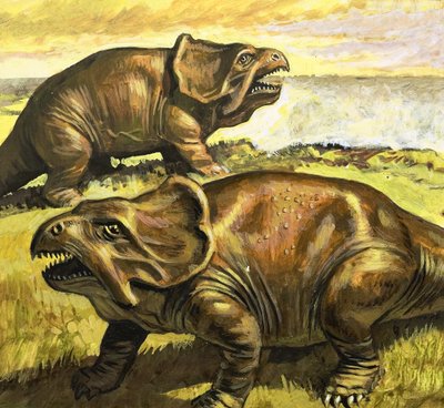 Protoceratops, illusztráció a "Dinoszauruszok korában, felfedezés a sivatagban" című könyvből. alkotó: Roger Payne
