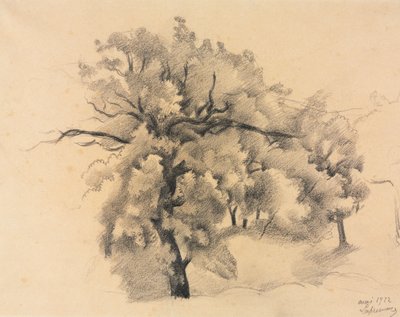 Fák tanulmányozása alkotó: Roger de La Fresnaye