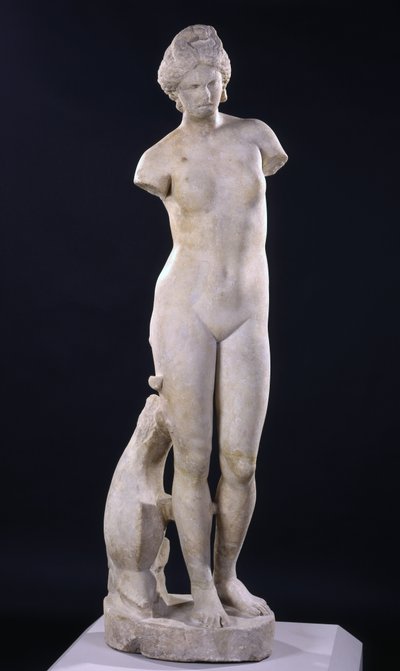 Cirénéi Aphrodité alkotó: Roman