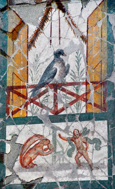 Az erkélyre fektetett madár alatt egy amour egy mókussal néz szembe. 1. század vége (freskó) alkotó: Roman