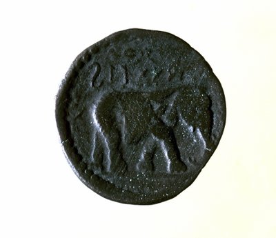 Karthágói érme egy elefántot ábrázol. Kr.e. 3. vagy 2. században. alkotó: Roman