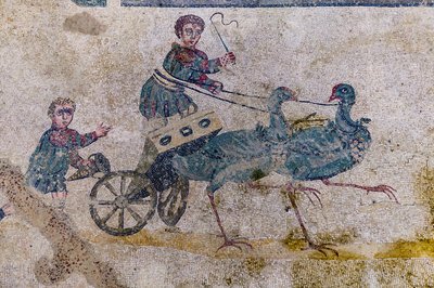 Szekérverseny madarak által húzott térképekkel (mozaik) alkotó: Roman