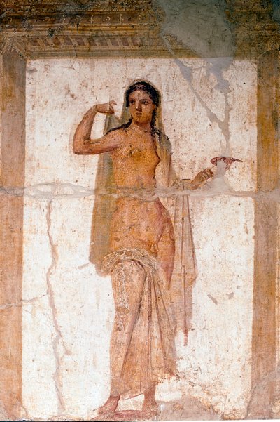 Hermafrodita (freskó alkotó: Roman