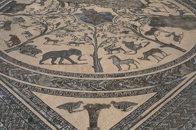 Orpheus háza, Orpheusz vadállatokkal körülvéve, részlet (mozaik) alkotó: Roman