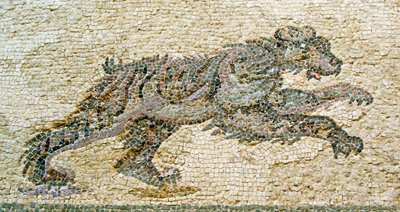 Vadászjelenet, medve részlete, Dionüszosz háza, Paphos, ciprusi mozaik alkotó: Roman