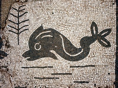 Delfin ábrázolása egy mozaik után a Corporazioni of Ostia (Ostia) antica terén. alkotó: Roman