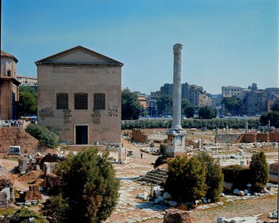 Forum Romanum: kilátás a Szenátus Kúria (kúria) üléshelyére. Kr.e. 1. század. Róma alkotó: Roman