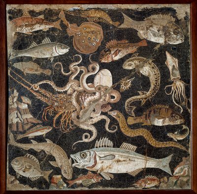 Római művészet: „” Tengeri fauna”” 2. századi mozaik. Nápoly, Museo Archeologico Nazionale, inv. 120177 - Római művészet: Tengeri élet. Kr.e. 2. századi mozaik. Nemzeti Régészeti Múzeum, inv. 120177, Nápoly, Olaszország. alkotó: Roman