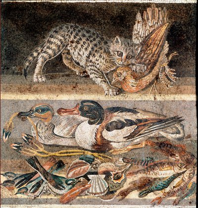Római művészet: fogolyt evő macska és vadkacsák Kr.e. 1. fele) Róma, Museo Nazionale Romano alkotó: Roman