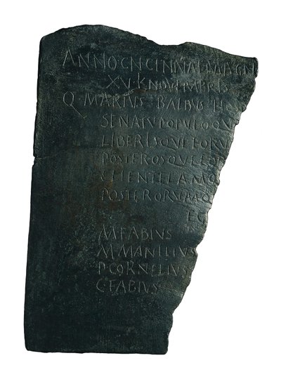 Kórházak Tanácsa alkotó: Roman