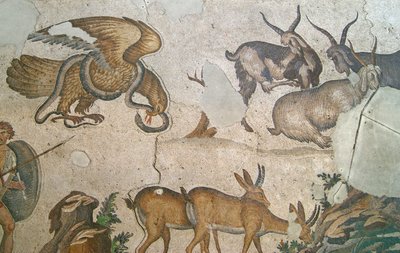 Ismeretlen kép alkotó: Roman