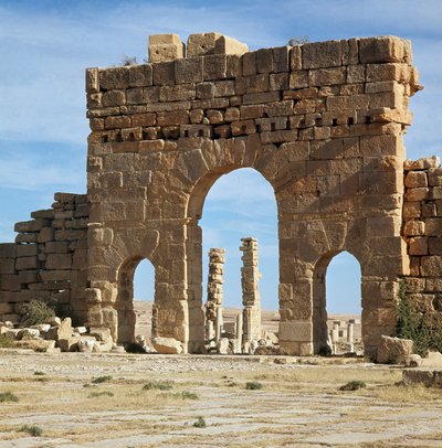 Kilátás a régészeti lelőhelyre az Antoninus-kapun keresztül alkotó: Roman