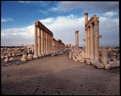 Kilátás a nagy oszlopcsarnokra és a monumentális boltívre (Kr. u. 3. század eleje) Fényképészet alkotó: Roman