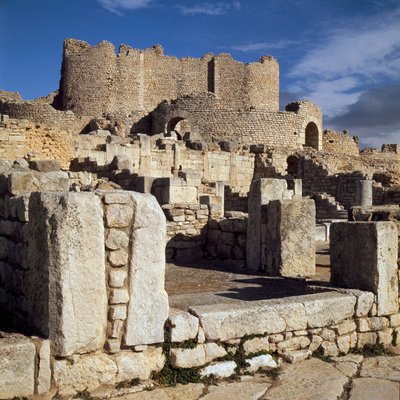Kilátás a licinai fürdőre alkotó: Roman