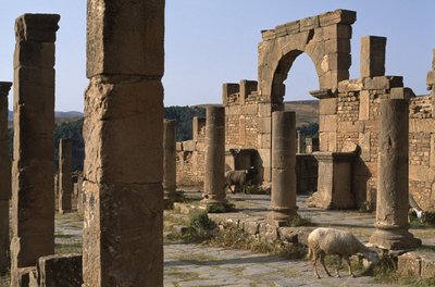 Cardo és belépés a Cosinius piacra, a magas birodalmi időszak (i.e. 27-395) alkotó: Roman Imperial Period
