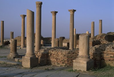 A könyvtár látképe, Kr.u. 100 körül, Nagy Császárkor (Kr.e. 27-395) alkotó: Roman Imperial Period