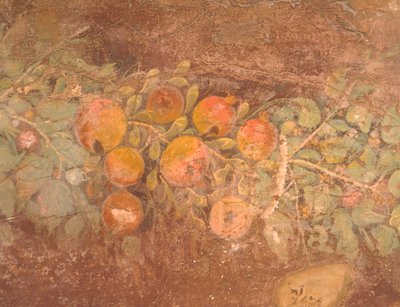 Részlet freskó virágokkal és gyümölcsökkel a római boscorealei villából (Nápoly), római civilizáció alkotó: Roman Roman