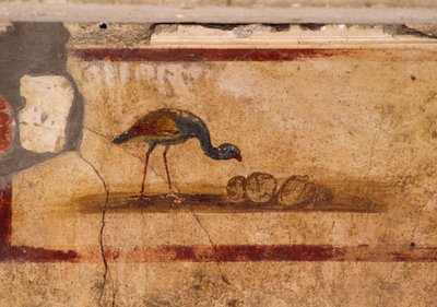 Fresco depicting bird from peristylium in House of Caius Julius Polybius, Pompeii (UNESCO World Heritage List alkotó: Roman Roman