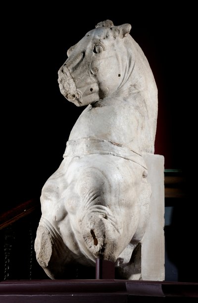 A ló elülső része (márvány) (lásd még: 371182 és 371184) alkotó: Roman Roman