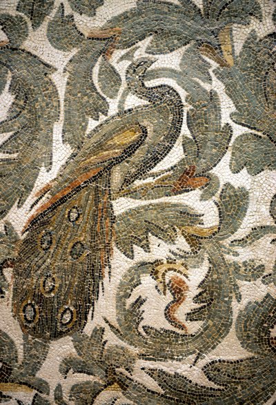 Páva, mozaikrészlet – Kr. e. 4. század, Bardo Múzeum, Tunisz alkotó: Roman Roman