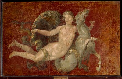 Római művészet: tengeri lovon ülő nő. Stabia freskója. Nápoly, Museo Archeologico Nazionale - Római művészet: tengeri lovon ülő nő. Stabia freskója. Nemzeti Régészeti Múzeum, Nápoly, Olaszország alkotó: Roman Roman