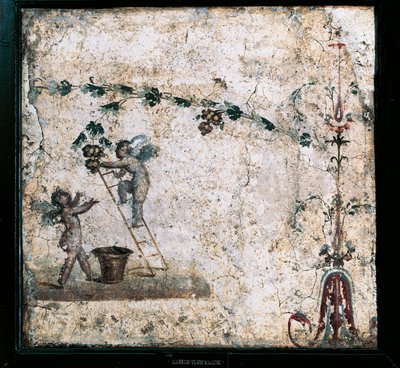 Harmadik stílusú freskó, amely Ámor szüretelését ábrázolja, a pompeii Marcus Lucretius házából alkotó: Roman Roman