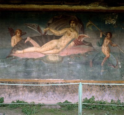 Vénusz a kagylóban pihen. Vénusz háza, Pompei, Olaszország. Freskó. alkotó: Roman Roman