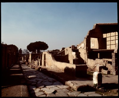 Kilátás a Decumanus Maximusra, Kr.e. 5. század – Kr. u. 1. század alkotó: Roman Roman