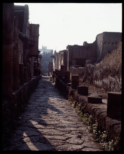 Kilátás egy utcára, Kr.e. 5. század - Kr. u. 1. század alkotó: Roman Roman