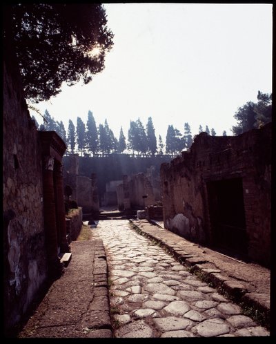 Cardo V látképe, Kr.e. 5. század – Kr. u. 1. század alkotó: Roman Roman