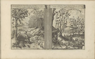 Planten, vogels en pepervelden Loua, Ananász Musa / Indiai növények és madarai // Peeper-Gewassen / Paprikaültetvény (cím az objektumon) Kelet- és Nyugat-India és más helyek (sorozat címe) alkotó: Romeyn de Hooghe