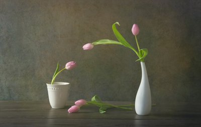 Elegáns rózsaszín tulipánok csendélet alkotó: Rong Wei