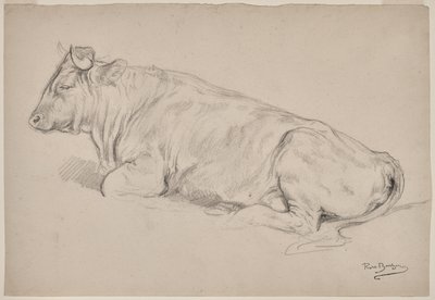 Pihenő bika alkotó: Rosa Bonheur