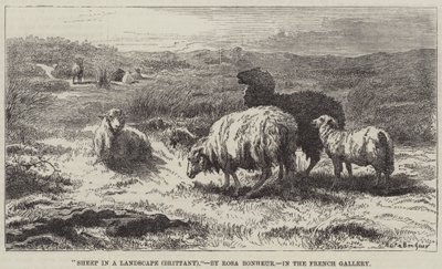 Birkák a tájban, Bretagne alkotó: Rosa Bonheur