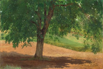 Fény és árnyék tanulmány (olaj, vászonra fektetett kártya) alkotó: Rosa Bonheur