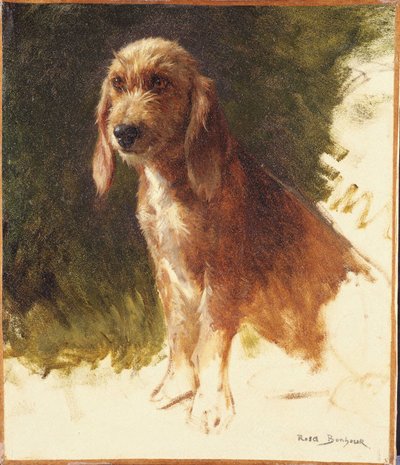 Kutyatanulmány alkotó: Rosa Bonheur
