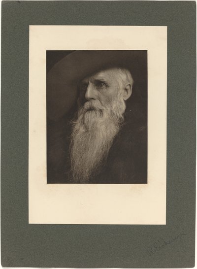 A tanya, 1901. alkotó: Rudolf Eickemeyer Jnr