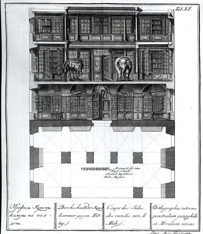 A Ritkaságok Csarnokának metszete dél felé, illusztráció a Szentpétervári Birodalmi Tudományos Akadémia Könyvtárának és Galériájának Kamráiban, Johann tervei, homlokzatai és profiljai alkotó: Russian School