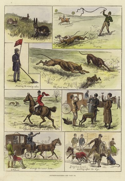Pályafutási mérkőzések alkotó: S.T. Dadd